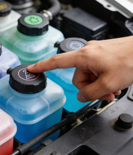 Locate the fluid reservoirs under the hood (each has a labeled cap)